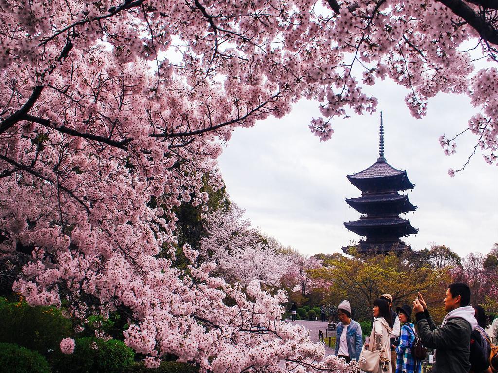 Coto京都 東寺 3 エクステリア 写真
